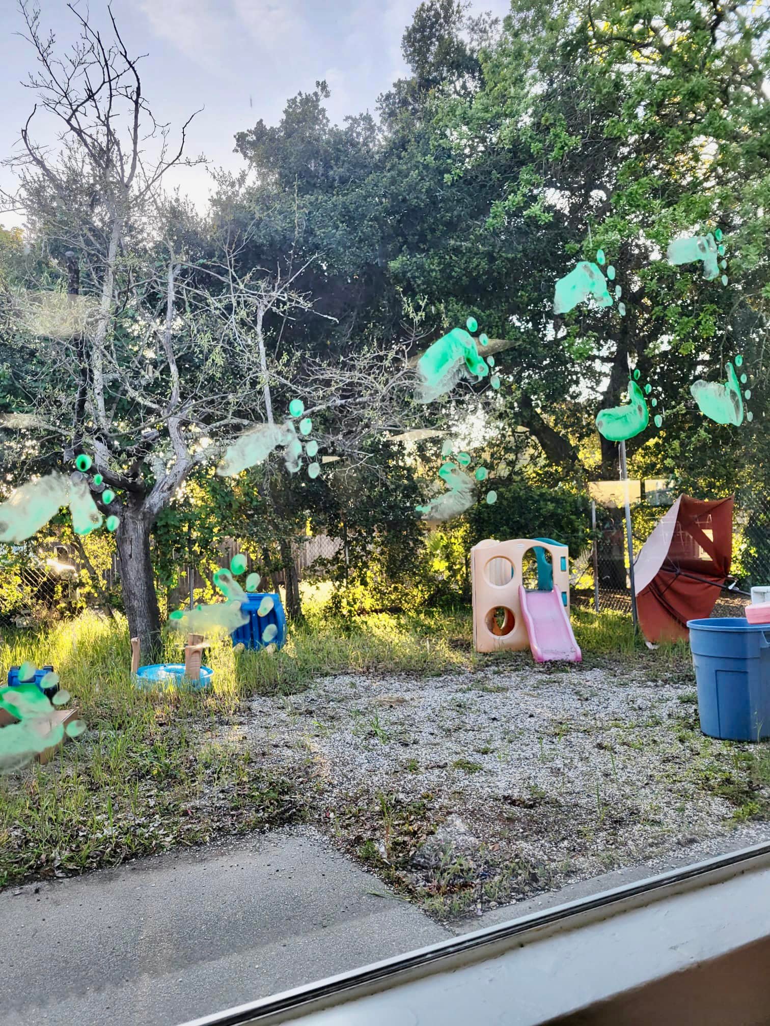 Boy smiling close-up